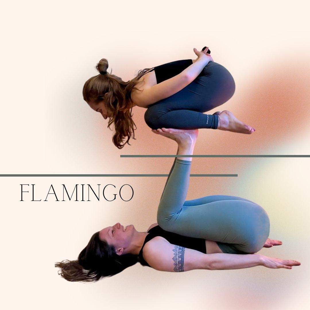**AkroYoga EinsteigerInnen Workshop** (Flamingo)